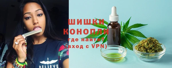 спиды Новодвинск
