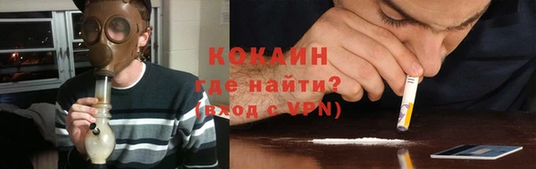 ПСИЛОЦИБИНОВЫЕ ГРИБЫ Болхов