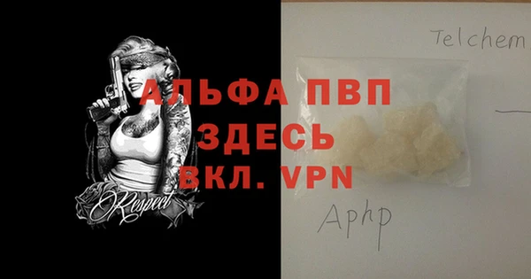 спиды Новодвинск