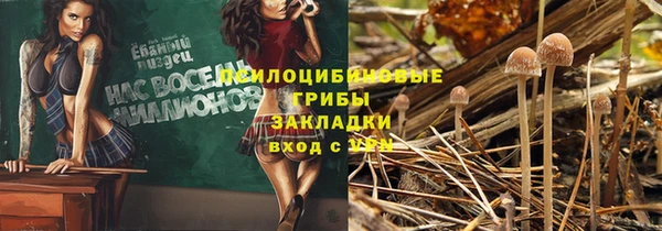 винт Новозыбков
