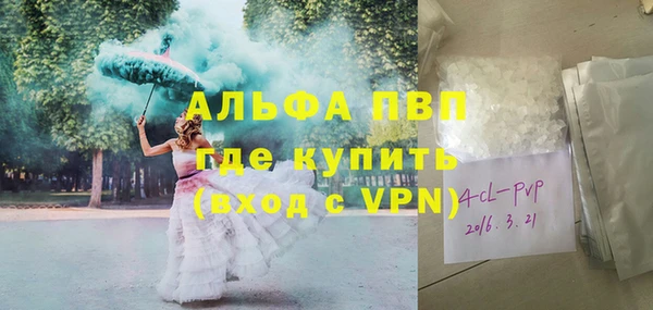 винт Новозыбков