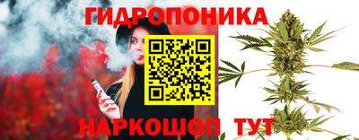 спиды Заводоуковск