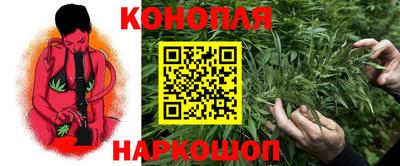 спиды Заводоуковск