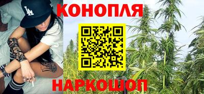 спиды Заводоуковск