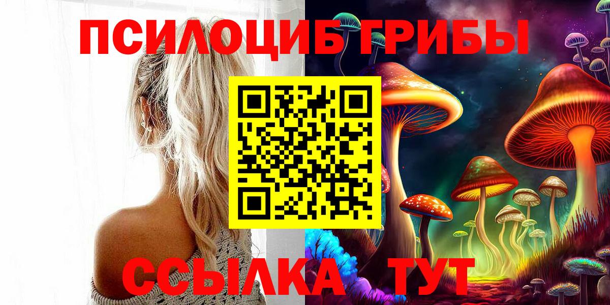 Галлюциногенные грибы MAGIC MUSHROOMS  Вход с VPN  Новомосковск 